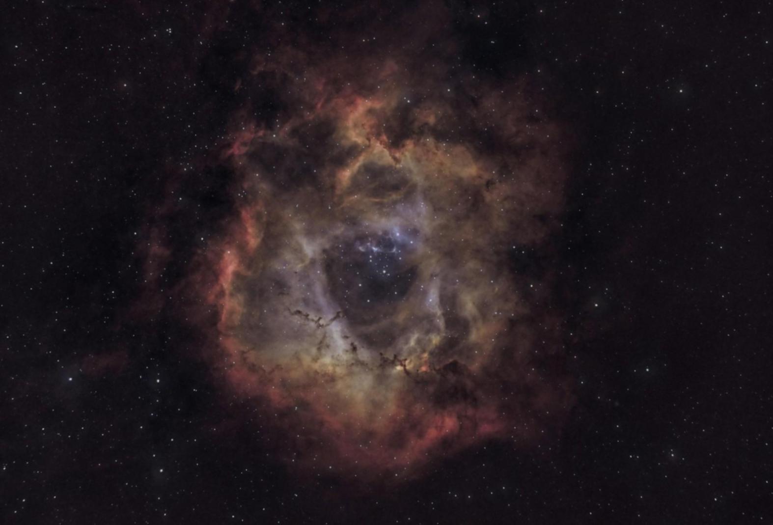 Uczestniczka programu astrologicznego podczas praktycznej sesji